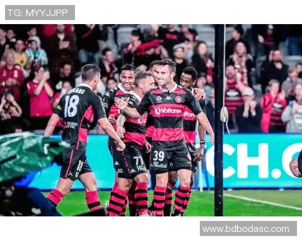 2017年西悉尼对阵惠灵顿精彩赛事回顾与分析